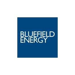 Bluefield Energy株式会社